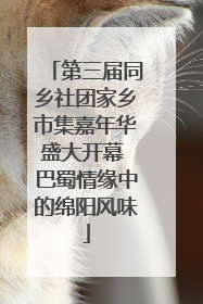 第三届同乡社团家乡市集嘉年华盛大开幕 巴蜀情缘中的绵阳风味